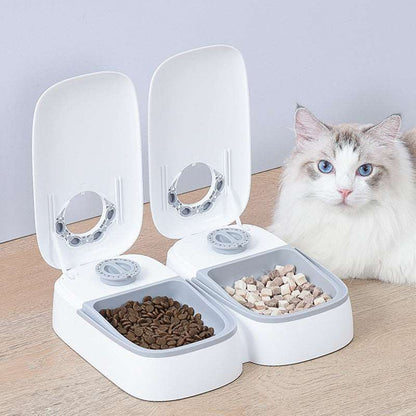 Pet Automatic Timing Feeder - Full Double Meal Feeder/Light Gray - Cat Feeding Solution Puppy