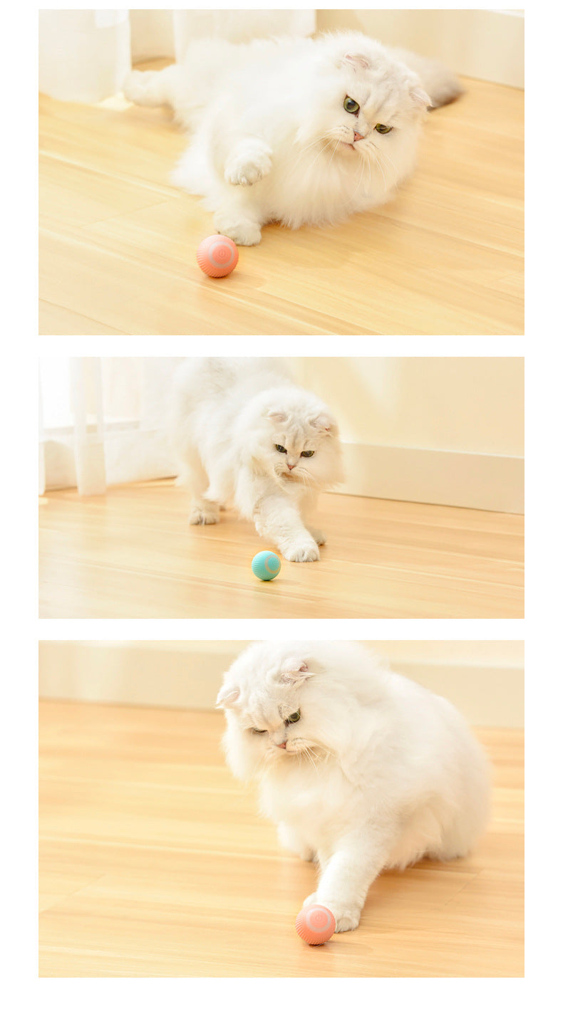 Cat Smart Automatic Rolling Ball Gravity Intelligent Pet Toy from https://sammyskfootball.com/ - Interactive toy for cats that automatically rolls and changes direction, providing hours of entertainment. Helps stimulate your cat's natural instincts and keeps them engaged.