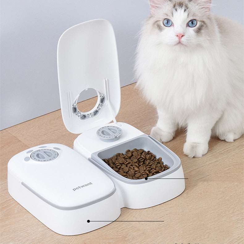 Pet Automatic Timing Feeder - Full Double Meal Feeder/Light Gray - Cat Feeding Solution Puppy