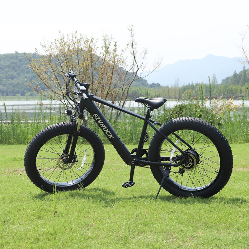 ebike in field powerful with thick tires 