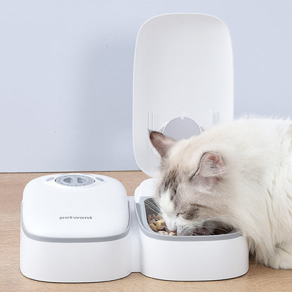 Pet Automatic Timing Feeder - Full Double Meal Feeder/Light Gray - Cat Feeding Solution Puppy https://sammyskfootball.com