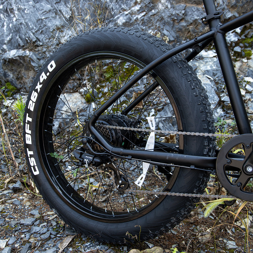 Thick tire of ebike